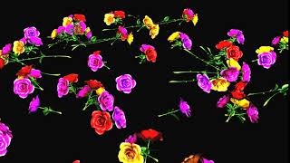 Flowers Production Element | Motion Background Animation HD | No Copyright Videos.