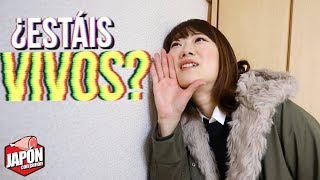 EXPERIENCIAS CON VECINOS EN JAPÓN: locos, ruidosos y normales