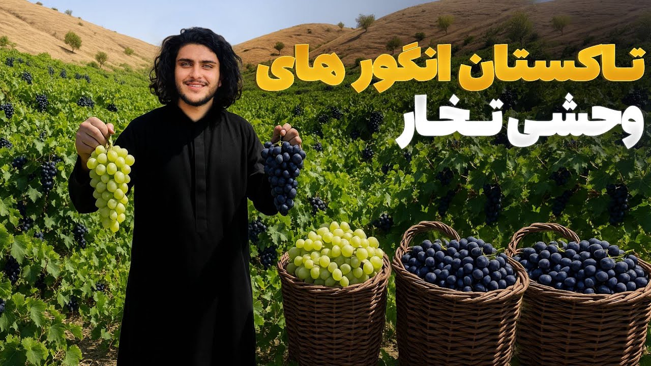 هی میدان طی میدان - دیدار باسط ایرج از تاکستان های للمی ولایت تخار