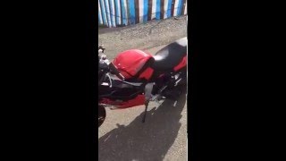 IMG 0156 1