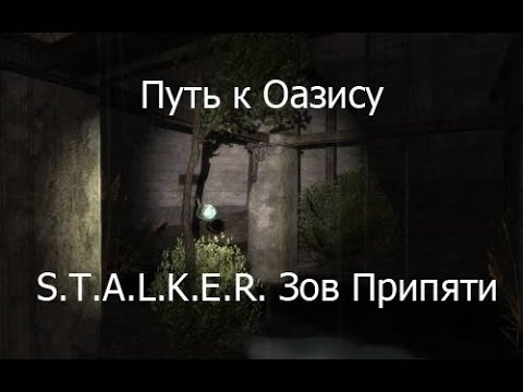 Как пройти оазис в зов припяти схема прохождения
