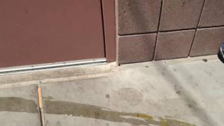 EGG DROP FAIL!!!