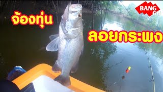 ลอยปลากระพง เหยื่อกุ้งเป็น[The Fish] EP.6