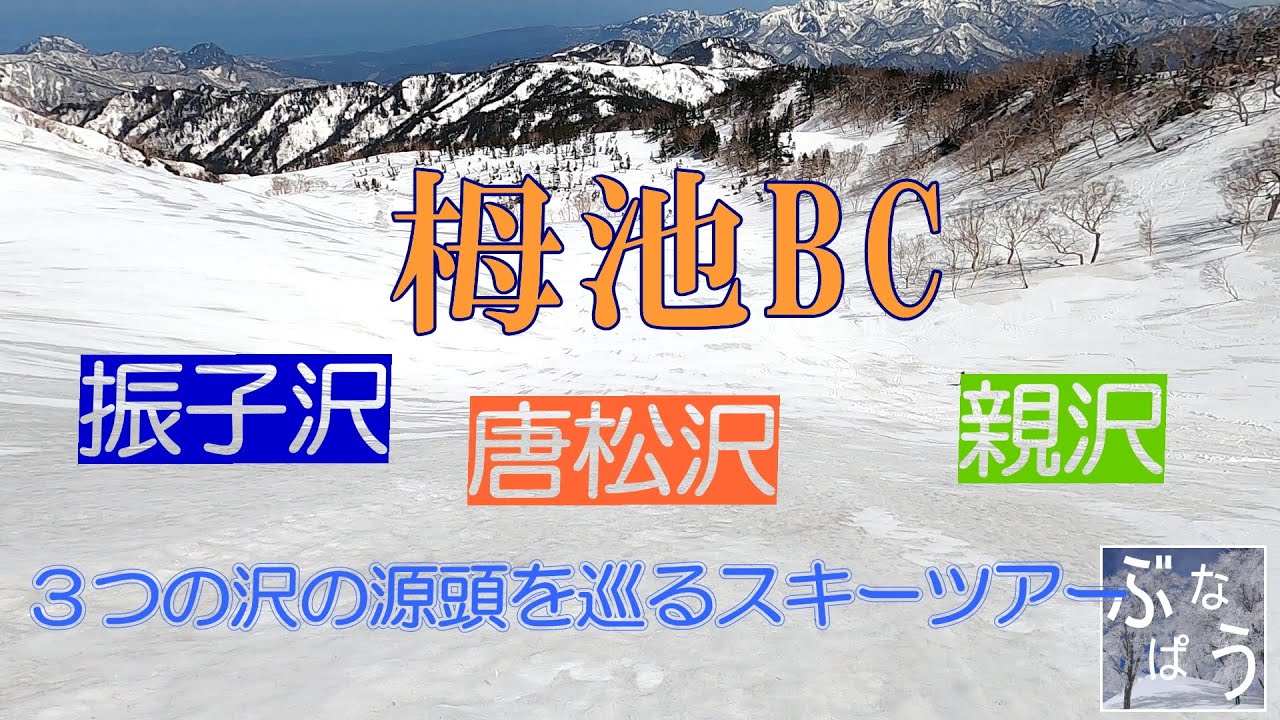 栂池bc 振子沢 唐松沢 親沢の3つの源頭斜面を巡るスキーツアー 山登りのページ ぶなぱう