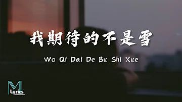 Zhang Miao Ge (张妙格) - Wo Qi Dai De Bu Shi Xue (我期待的不是雪) Lirik 歌词 Pinyin (動態歌詞)