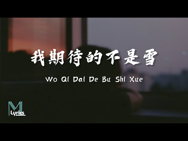 Zhang Miao Ge (张妙格) - Wo Qi Dai De Bu Shi Xue (我期待的不是雪) Lirik 歌词 Pinyin (動態歌詞) class=