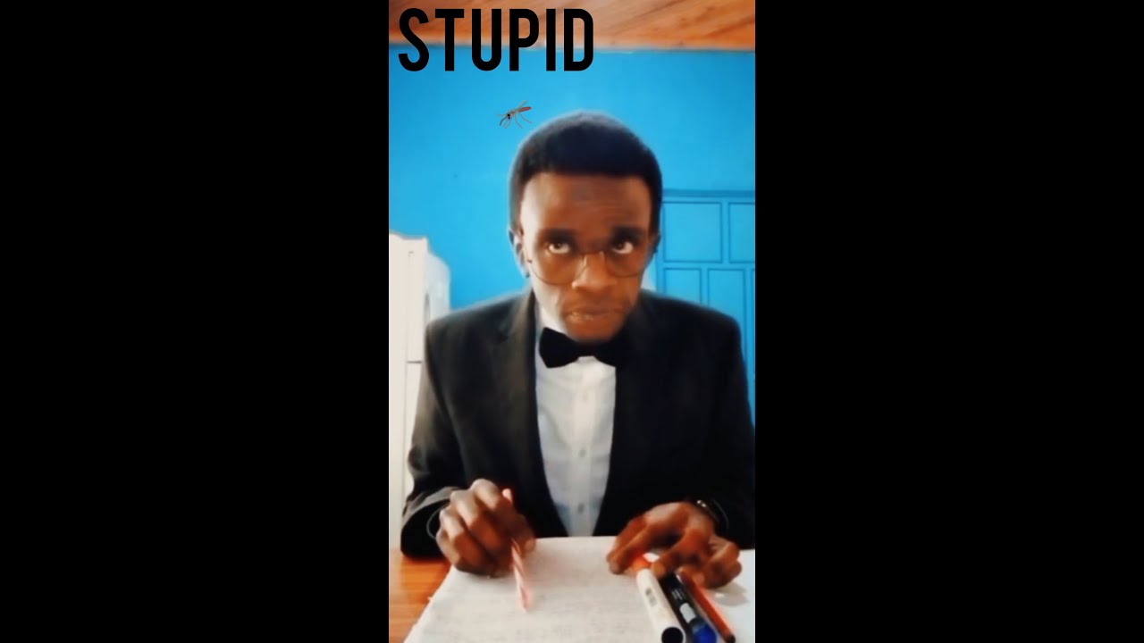 Silent Atom and a stupid mosquito 🦟🤣