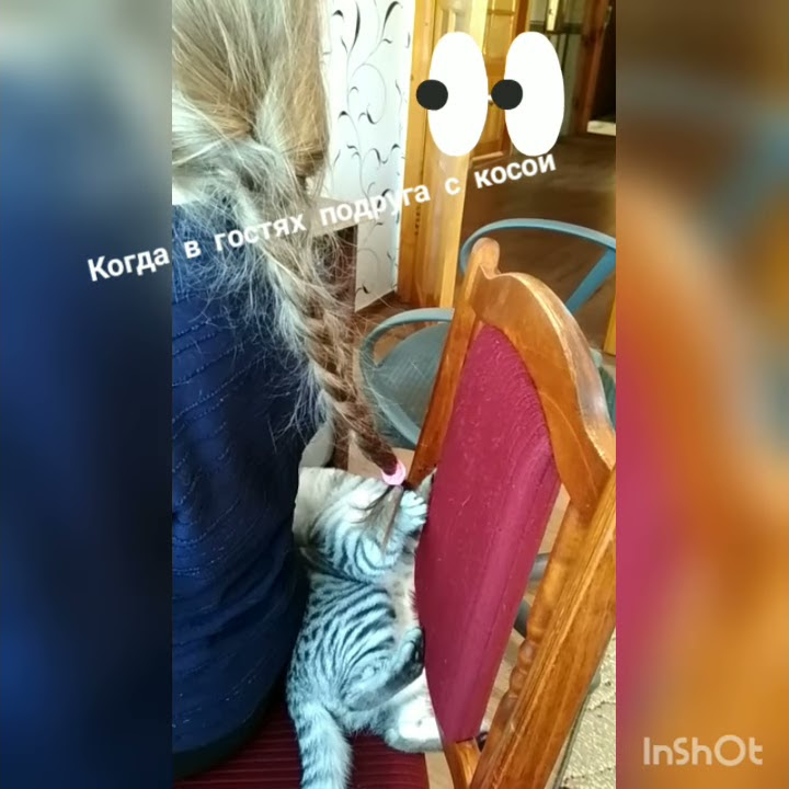 Мальчик заплетает девочке косичку. Слушать песню дергать за косички. Слушать песню дергать за косички. Девочку дергают за косички. Девочка заплетала косу мальчику.