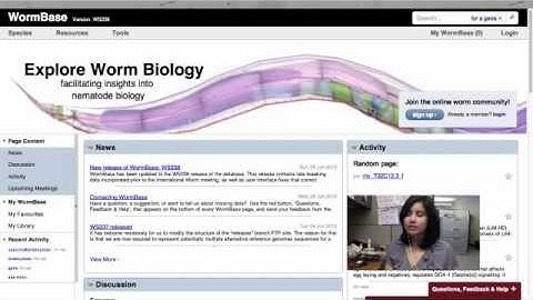 Intro to WormBase: Searching