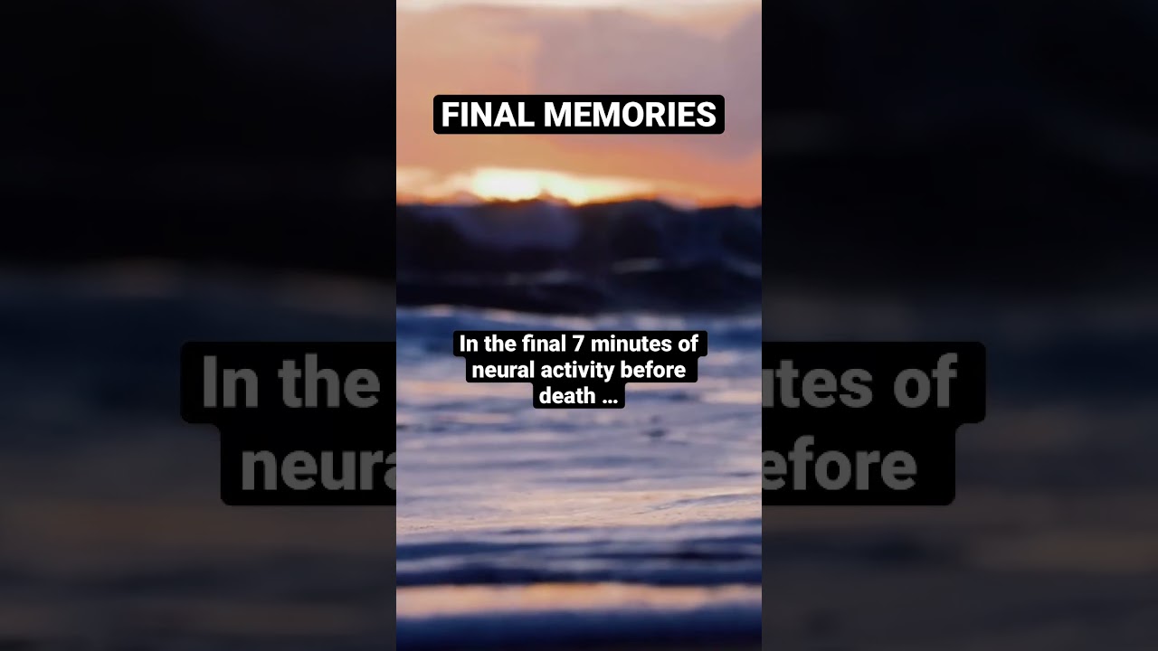 Last 7 Minutes of Life: Memories Before Death 