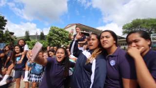 Saint Francis School Mannequin Challenge
