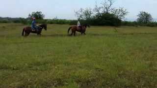 20140526 090351