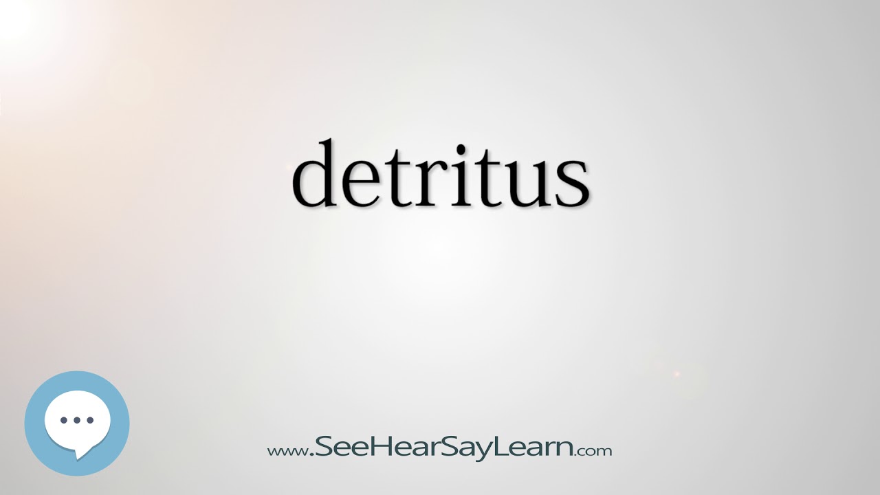 detritus - Smart & Obscure English Words Defined 🗣🔊
