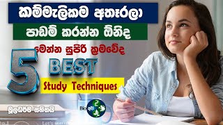 වැඩි ලකුණු ගන්න මෙහෙම පාඩම් කරන්න - 5 best Study TechniQues & Tips in Sinhala  Bio Api -