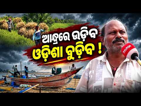 ପୁଣି ବାତ୍ୟା ଆଶଙ୍କା, ଗଞ୍ଜାମରେ ପ୍ରସ୍ତୁତ ଜିଲ୍ଲା ପ୍ରଶାସନ, ଚିନ୍ତାରେ ଚାଷୀ ଓ ଧୀବର | Odisha News