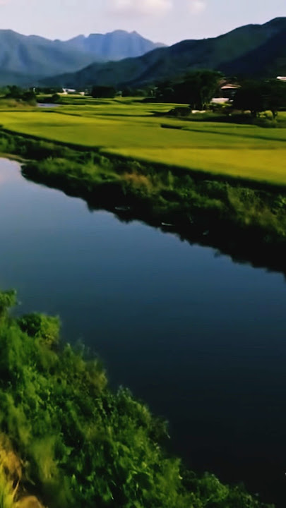 Gunung dan Sawah #orauploadorabayaran #sawah #cinematiksawah #shortvideo #storywa