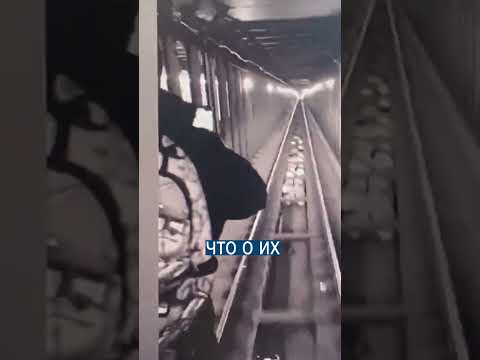 Угнали метро и катались по станциям Нью-Йорка