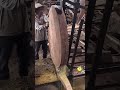 wood cutting process for making coasters #shorts