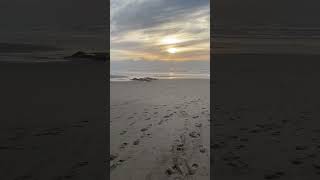 Celebrity Sunset. Pomponio State Beach 💚❤️🧡#beach#reel#nature#shortvideos#usa#sunset#природа#закат#сша#влог Wealth