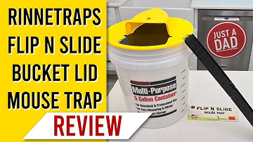 RinneTraps Flip N Slide Bucket Lid Mouse Trap REVIEW