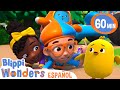 Pollita perdida  caricaturas infantiles  moonbug en espaol  blippi wonders