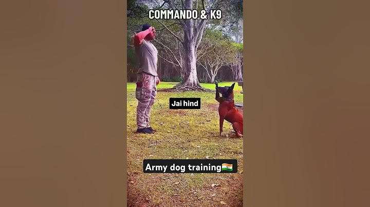 dushmano k liye hamare army k dog hi kaafi h #trending #viralvideo #indainarmy #indiannavy #airforce