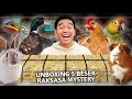 UNBOXING 5 BESEK RAKSASA ISI HEWAN MISTERIUS SEKALIGUS! ISINYA GAK DISANGKA!