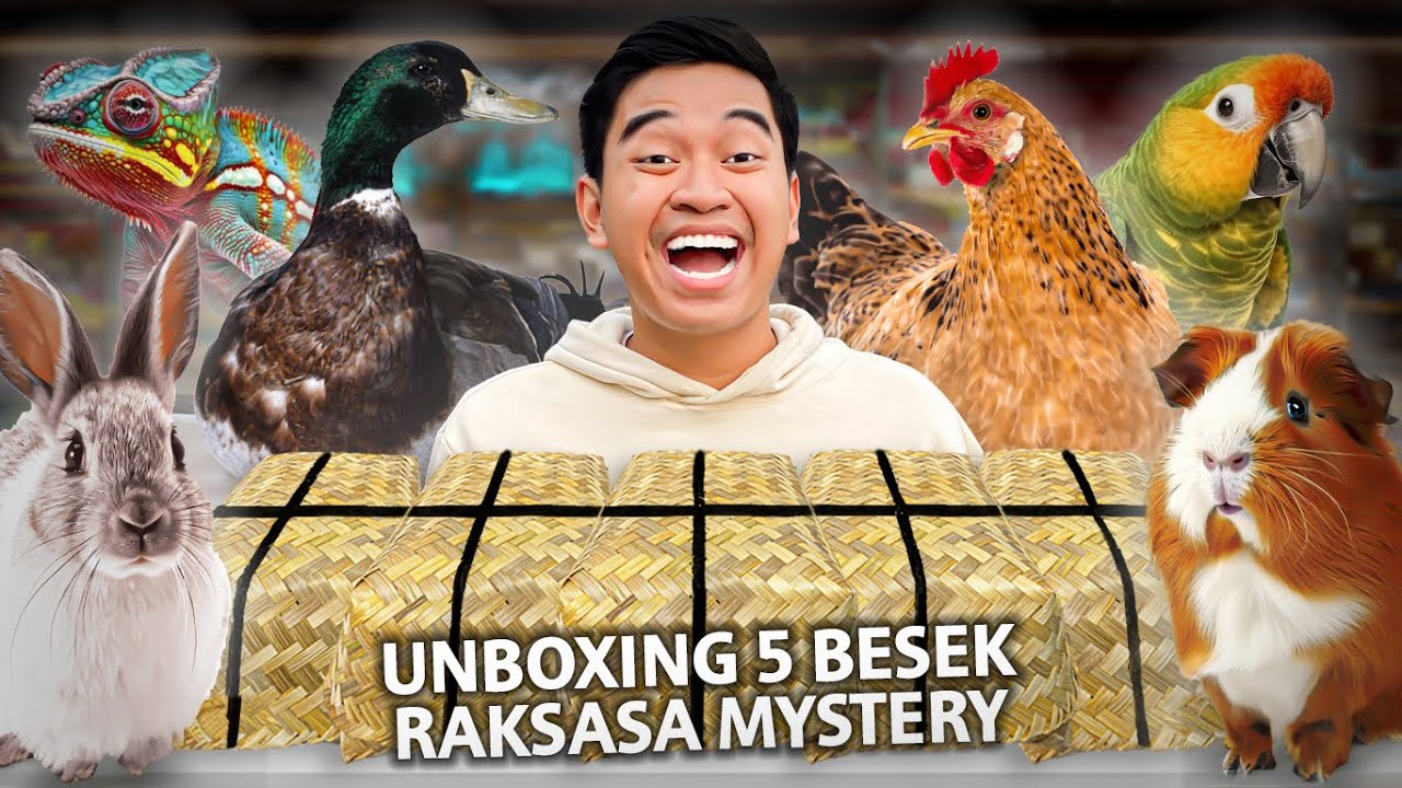 UNBOXING 5 BESEK RAKSASA ISI HEWAN MISTERIUS SEKALIGUS! ISINYA GAK DISANGKA!