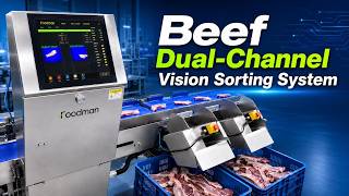 Dual-Channel Vision Sorting System for Beef | Foodman On-Site Customer Live Demo
