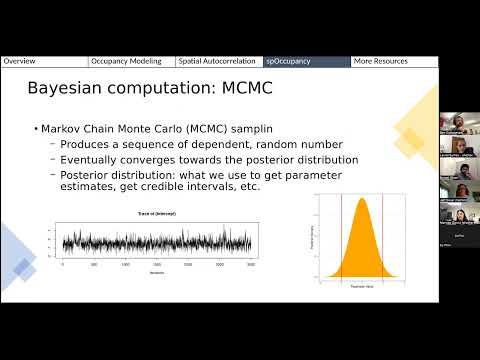 BioacousTalks: Bayesian occupancy