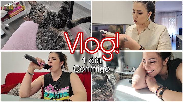 Vlog! 1 Day With Me 😍 Doctor's Results 😿 Work, Kittens, and Karaoke ✨