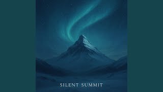 Famous Silent summit Net Worth