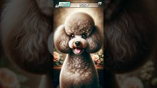 世界十大最溫馴狗狗 - Top 10 most docile dogs in the world #shorts #short #2024