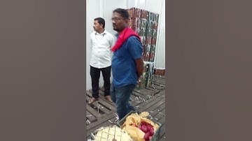 Inside cold storage? Cold storage visit | Practical  Training on Fruits Import and  Export.