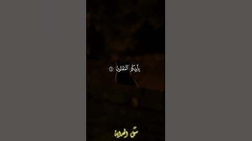 سورة القلم #يوسف_الصقير #قران_كريم #ايات_قرانيه_قصيره #quran #راحة_نفسية