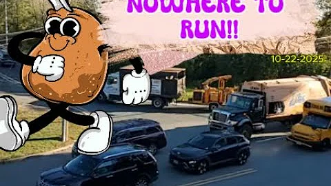 Live Stream-Traffic Drivers are Amazing from USA!  For Entertainment Only