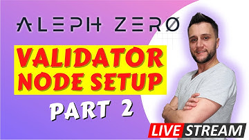 Aleph Zero - setting up the testnet node part 2