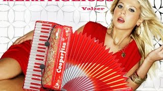 Video thumbnail of "MERAVIGLIOSO gran Valzer per Fisarmonica e Orchestra Musica del M Stefano BERTONI"