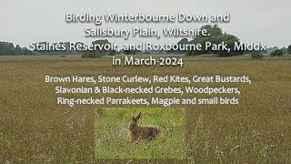 Winterbourne Down and Staines Reservoir etc March-2024