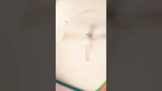 Hame assa #song #dance #viralshort #shortsfeed #shortviral #love
