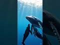 whale #viral #ai