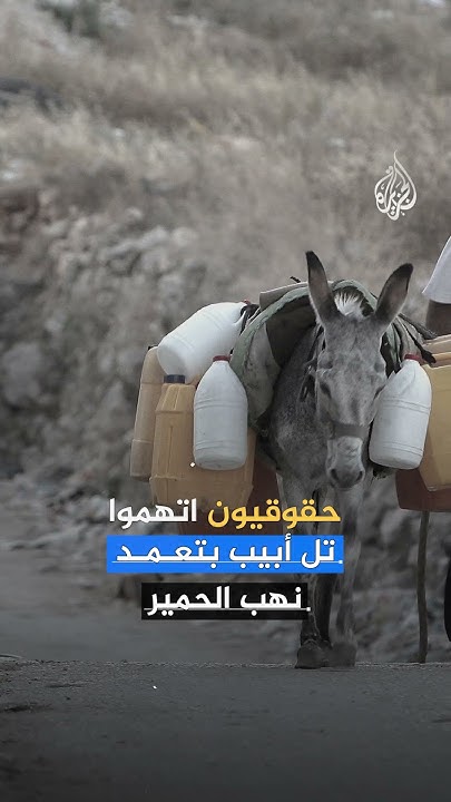        - -
 - نشر قبل 51 دقيقة