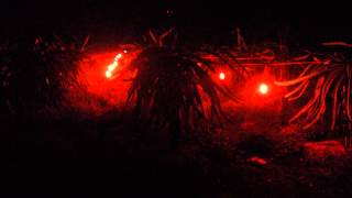 20140306 2