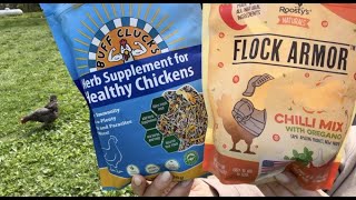 Roosty's Naturals Flock Armor -VS- Buff Clucks Herb Supplement. Which one do you need?