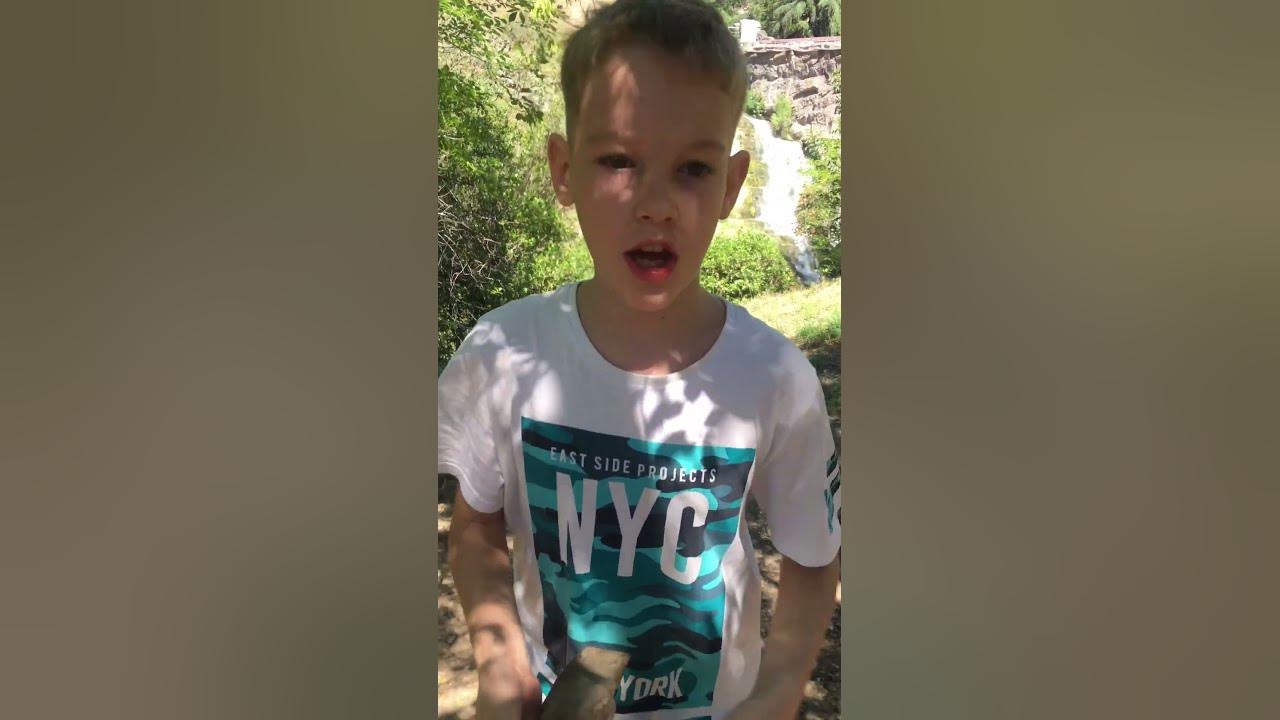 Лучший домашний питомец это камень - YouTube