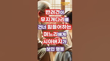 반려견이 무지개 다리를 건너 힘들어하는 며느리에게 시아버지가 보인 행동 #라디오드라마 #라디오사연