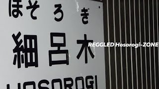 REGGLED HOSOROGI ZONE（動画版）（WRIGGLED ZONE×RED ZONE×細呂木駅）
