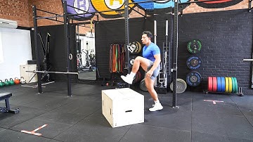 Box Step Up Knee Drive | Lunge | Strength and Conditioning Exercises