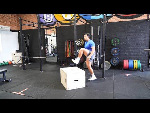 Box Step Up Knee Drive | Lunge | Strength and Conditioning Exercises