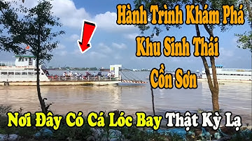 Tham Quan Khu Du Lịch Cồn Sơn Chiêm Ngưỡng Cá Lóc Bay Và Vườn Trái Cây | Nguyễn Toàn Vlog